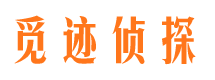 东湖市调查公司